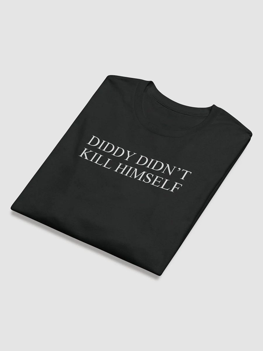 Diddy Didn't End Himself product image (2)