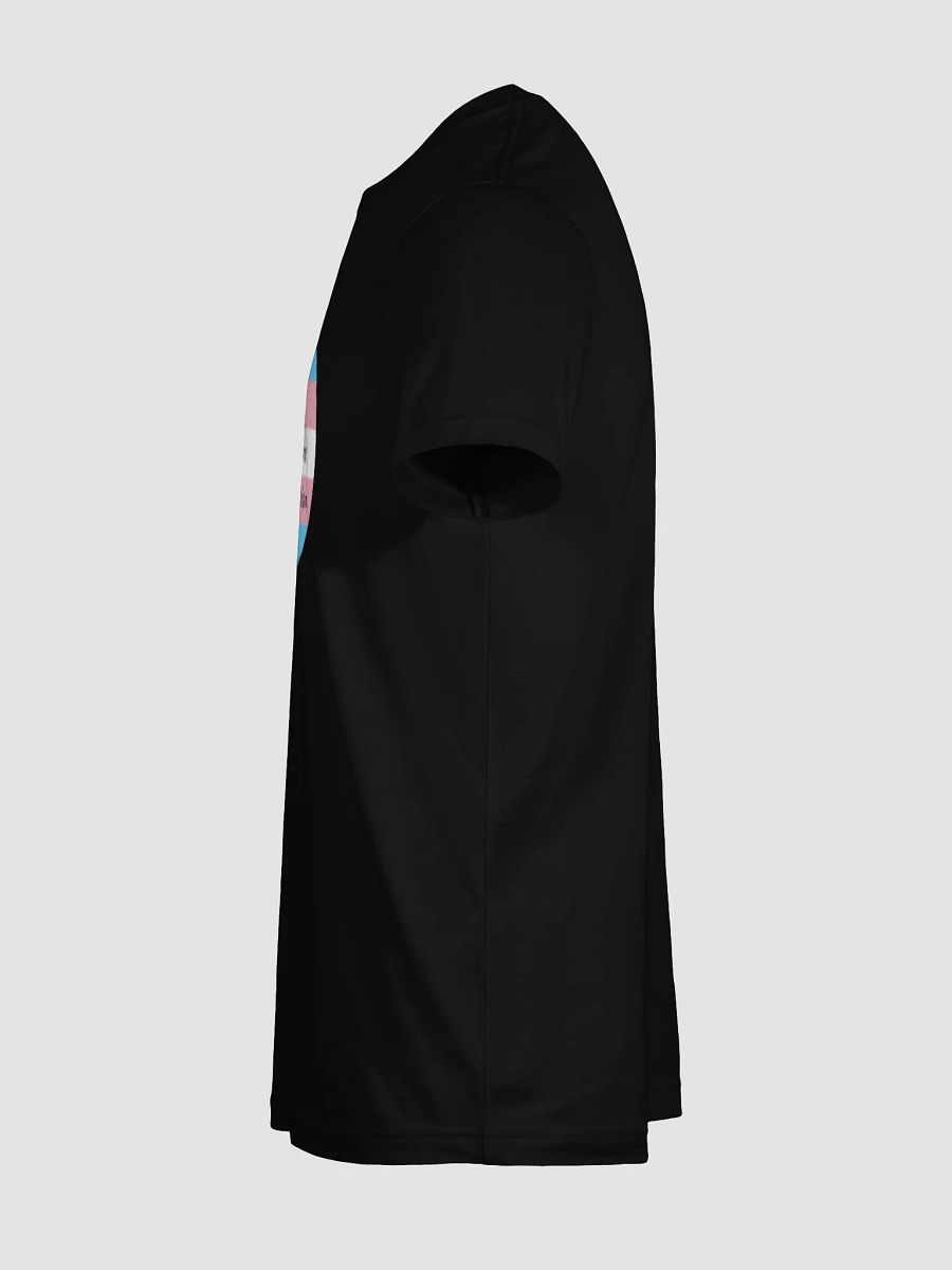 Death Before Detransition Tee Circle Design product image (11)