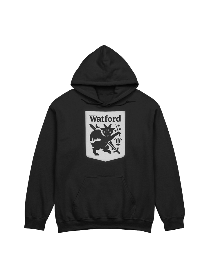 Watford Sport Hoodie in More Sizes product image (1)