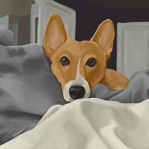 Nearly 2 weeks ago, @stb_photographic & I had to say goodbye to our beloved elder corgi, LoJack. In the interest of educating...