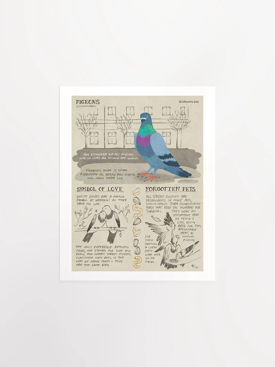 Pigeon Educational Print – Veganuary 2024 product image (2)