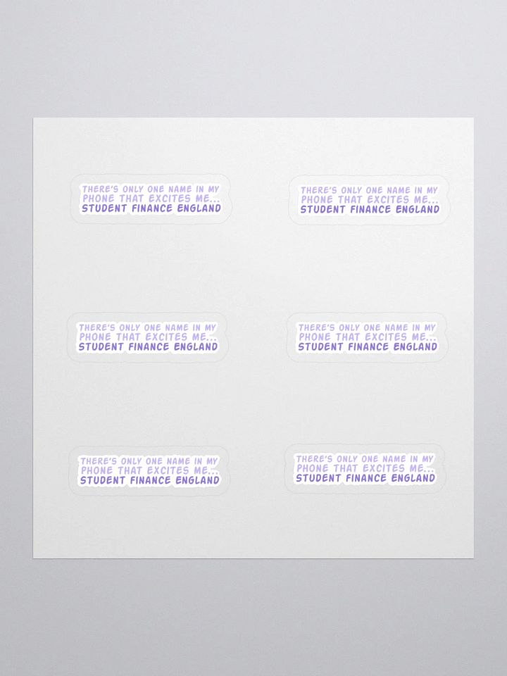 Student Finance Sticker (MEDIUM Sheet) product image (1)