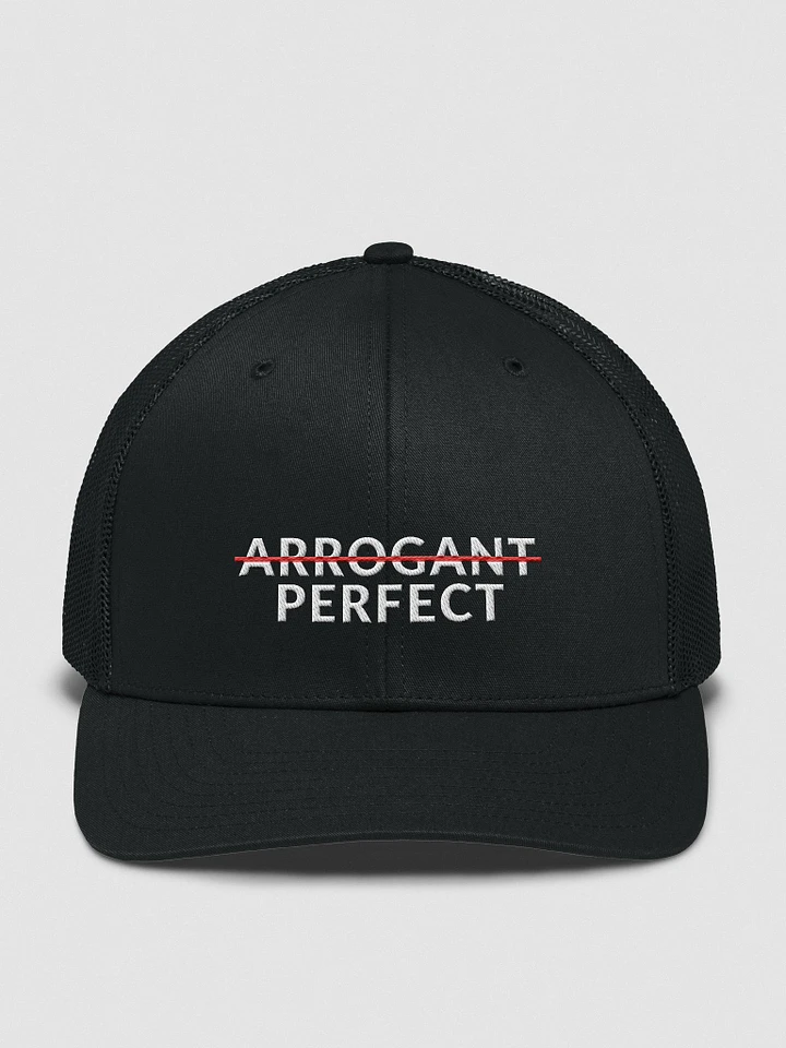 ARROGANT PERFECT - BREATHABLE CAP product image (1)