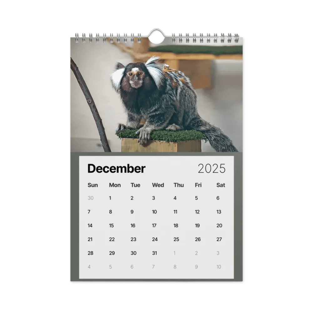 Alveus 2025 Calendar product image (43)