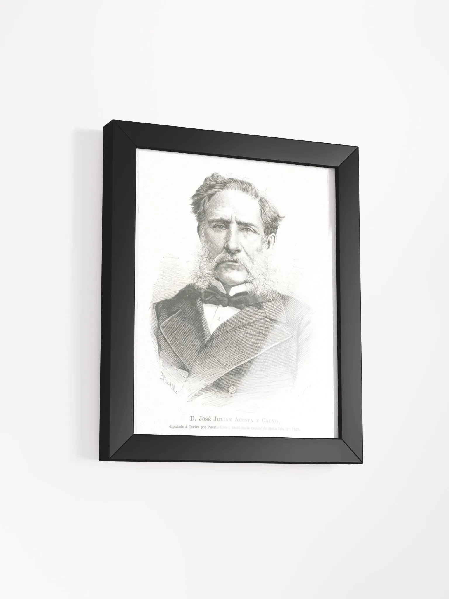 Cuadro - José Julián Acosta y Calvo: Diputado Provincia de Puerto Rico product image (2)