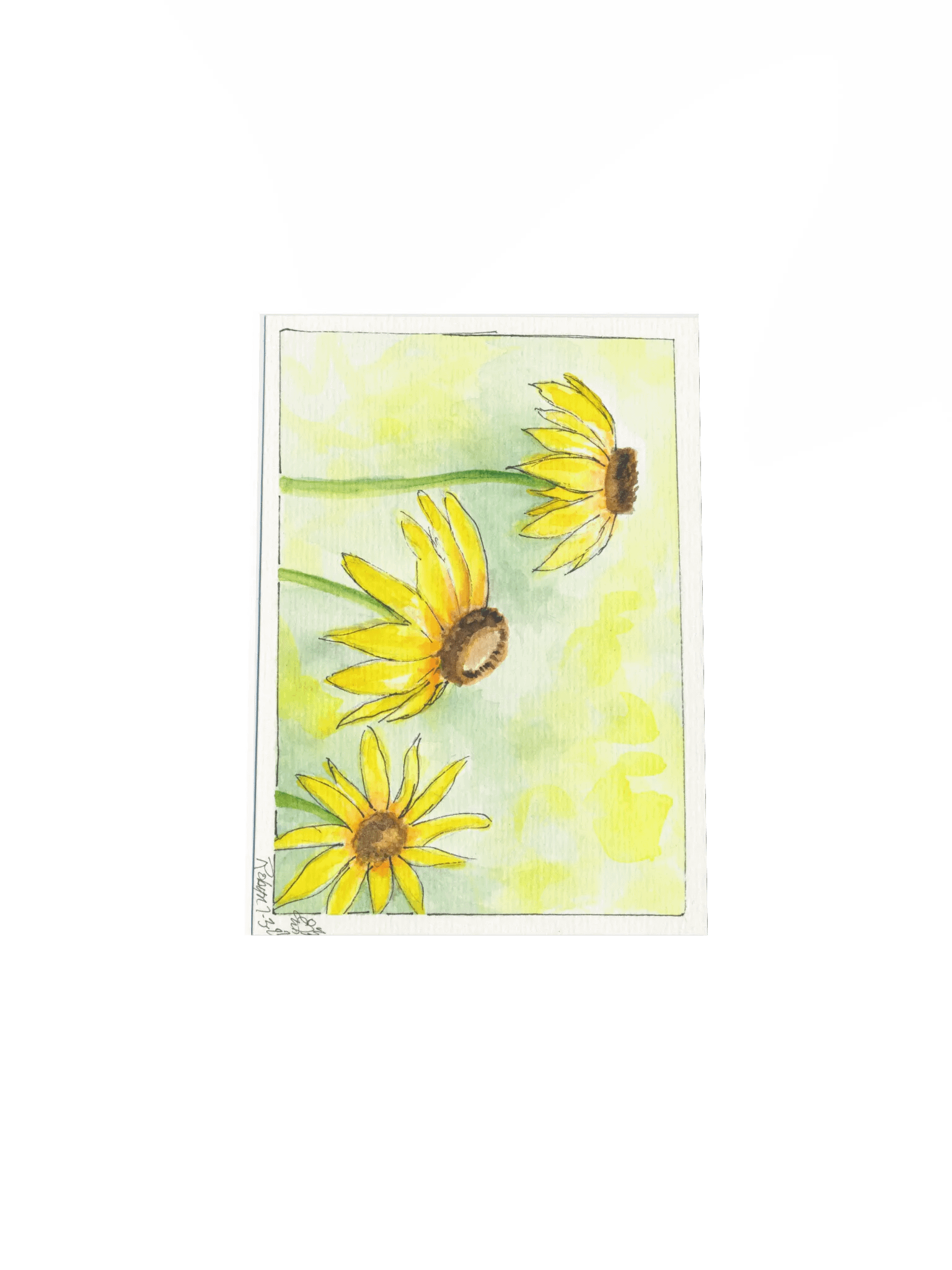 Yellow Cornflowers Print product image (4)