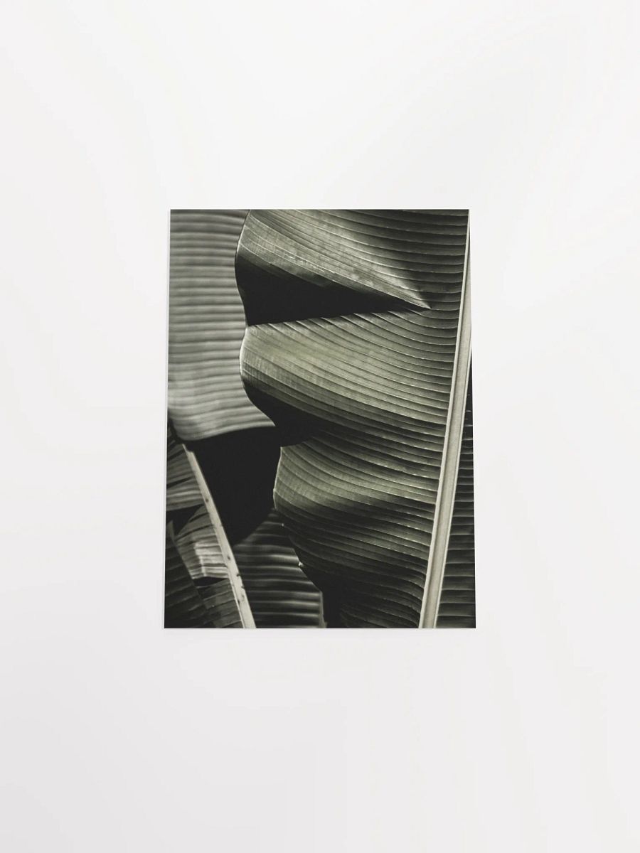 Banana Leaves Enhanced Matte Poster product image (48)