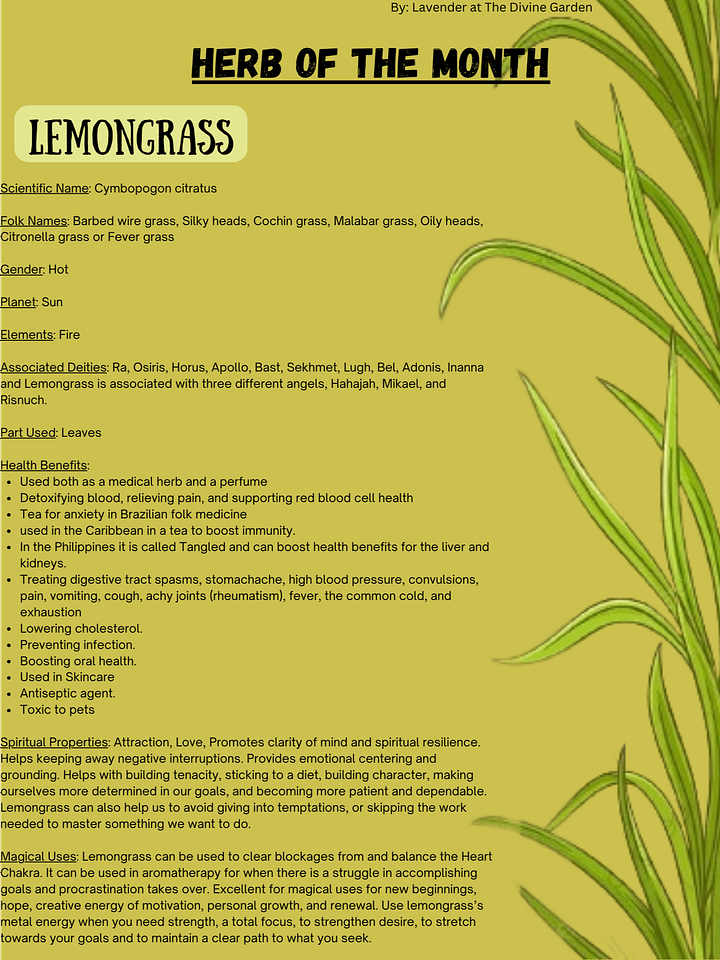 Lemongrass product image (1)