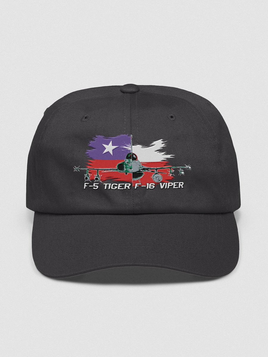 Defensores de Chile - Gorra de Piloto product image (4)