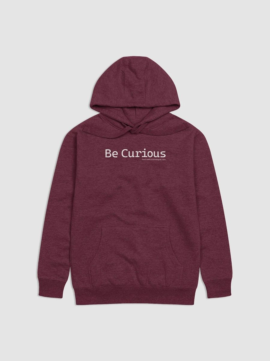 Be Curious - Unisex Hoodie - 5 Colors product image (2)