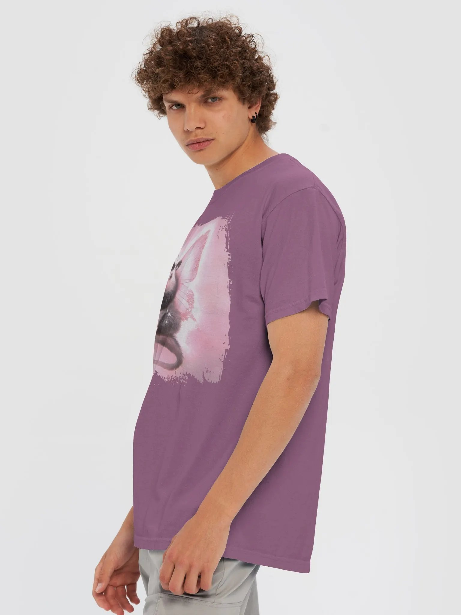 Opossum With Butterfly Wings product image (36)