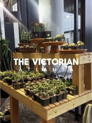 📍 @The Victorian Atlanta - The Beltline A sight to see! 1960s inspired lounge with a relaxed, moody vibe. The lounge overlooks The Victorian Atlanta plant shop which is the source of inspiration for Burle’s Bar. #exploregeorgia #hiddengems #atlanta #exploreatl #poncecitymarket #atlantafoodies #cafes #nature #botanicalgarden 
