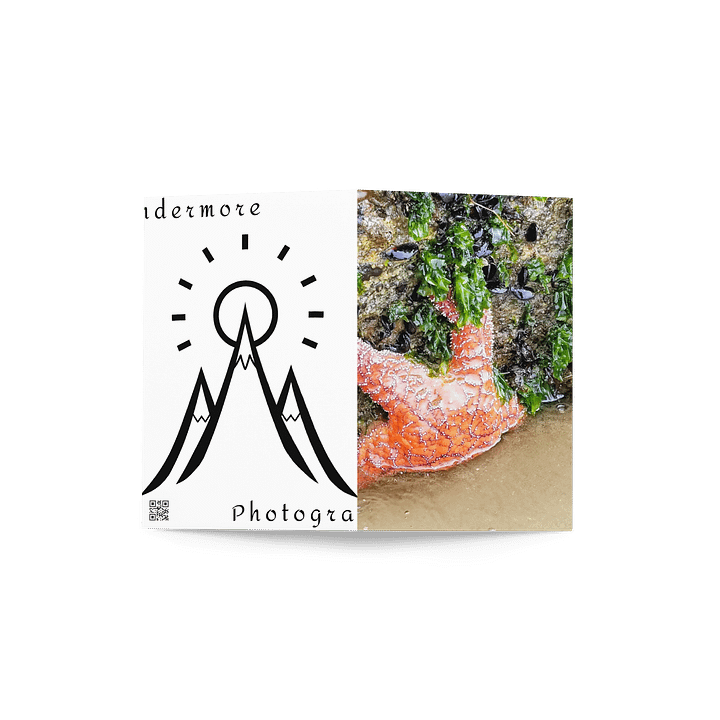 Starfish Serenity Greeting Card product image (4)