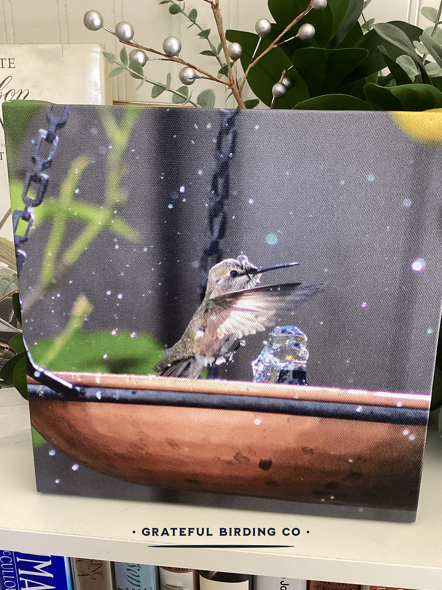Hummingbird Joy: Splash Bath - Bird Wall Art product image (4)