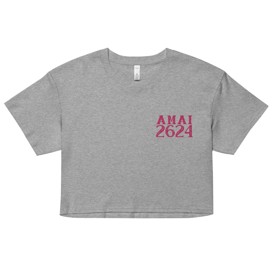 Amai2624 Crop Top product image (2)