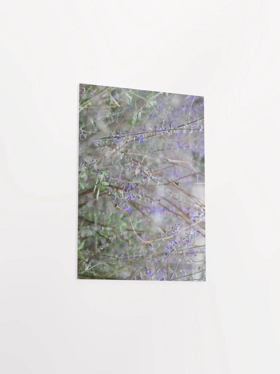 A Study in Flowers 14 product image (26)