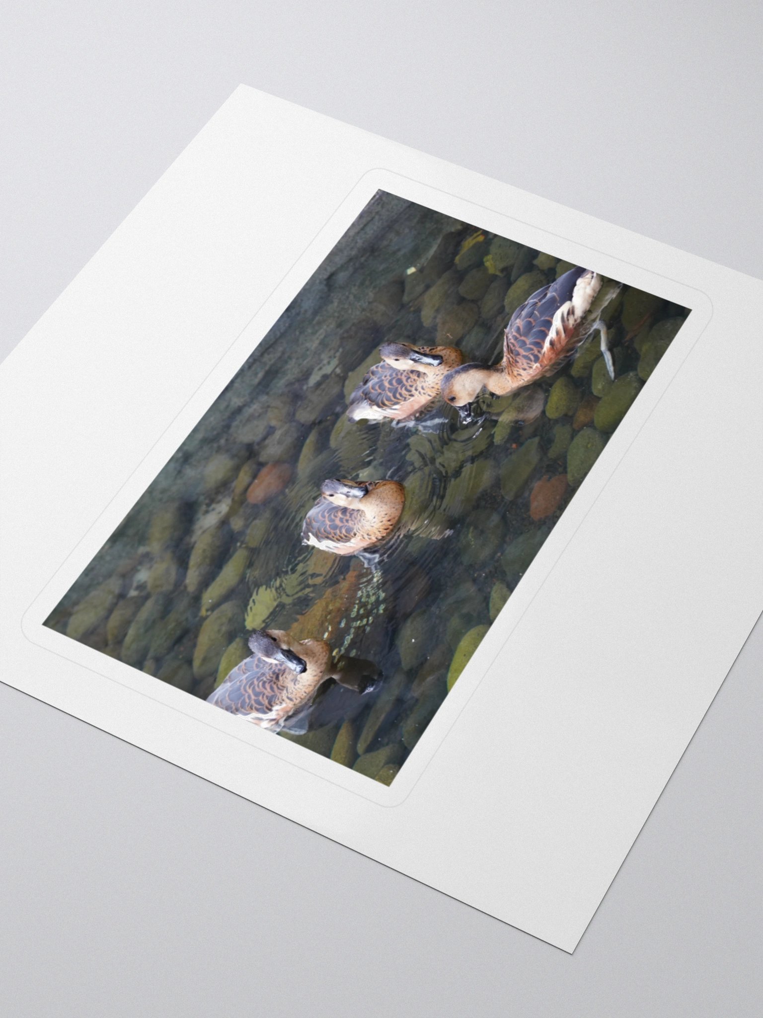 Tranquil Duck Pond Stickers product image (3)