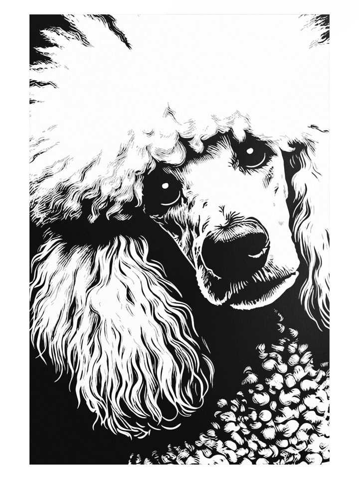 Pop Art Poodle Print / Frame Not Included product image (1)