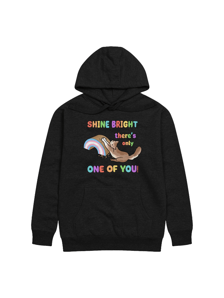 Shine Bright Trans Pride Hoodie product image (3)