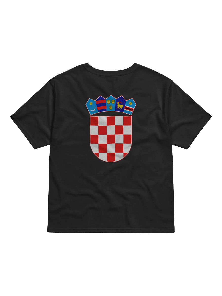 Ako ne znaš šta je bilo (Zadar) Champion Tee product image (2)