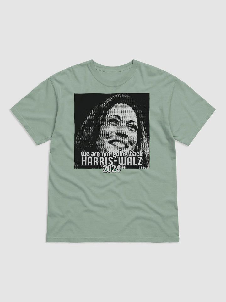 HARRIS-WALZ 2024 WE ARE NOT GOING BACK product image (6)