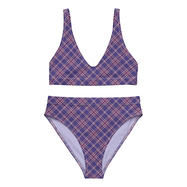 Purple Orchid and Violet Plaid Bikini product image (2)