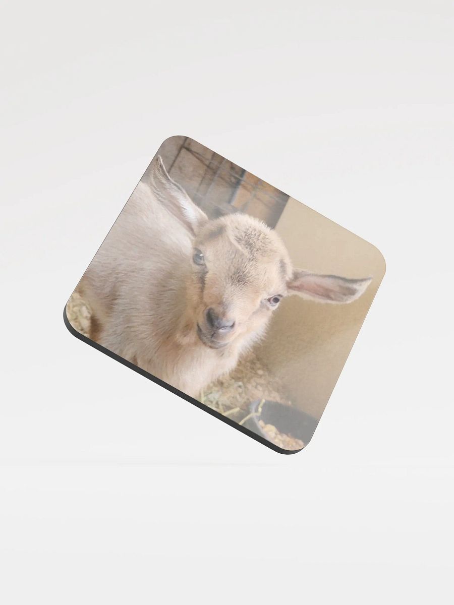 Baby Kiwi goat coaster product image (3)