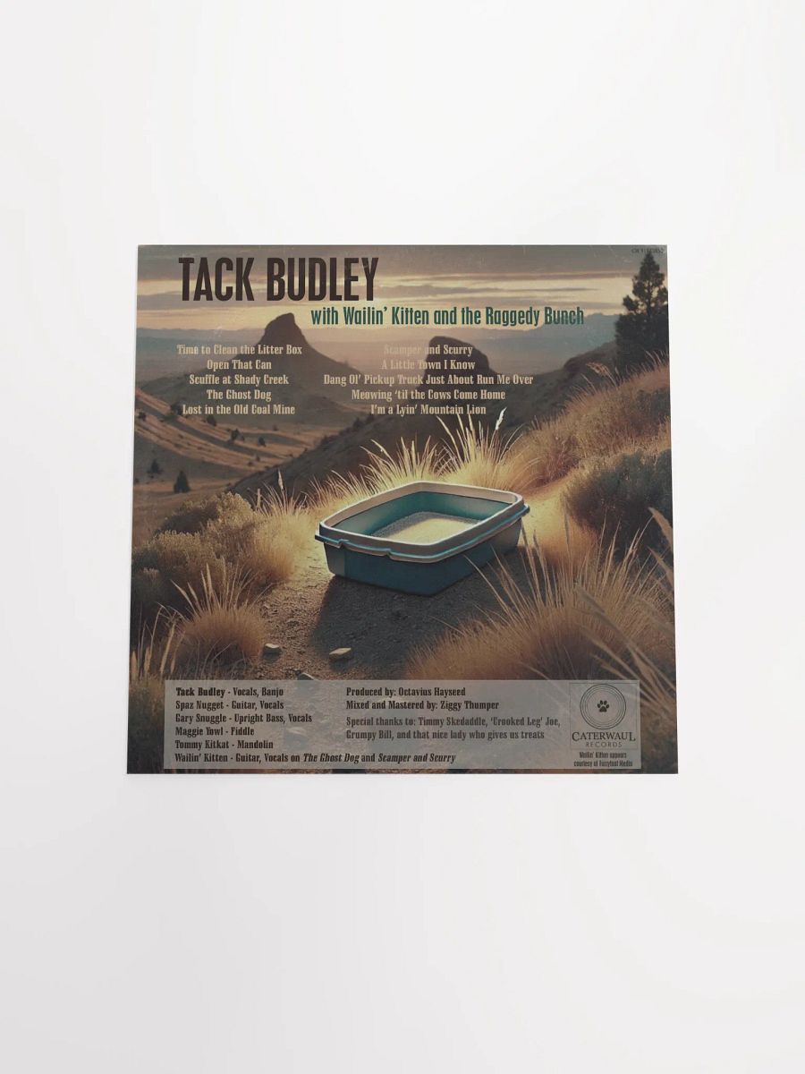 Tack Budley poster - Album jacket (back) - 12