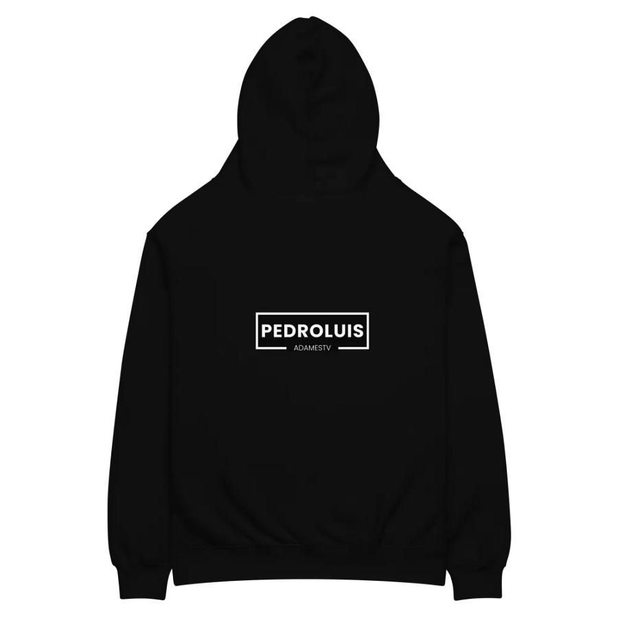 hoodie logo pedroluisadamestv product image (4)