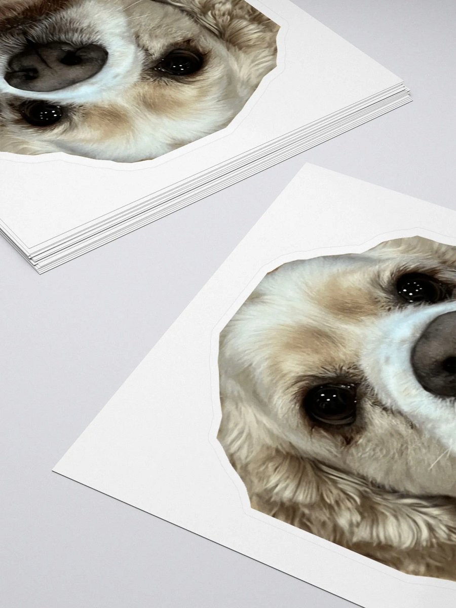WESLEY STICKER!! product image (4)
