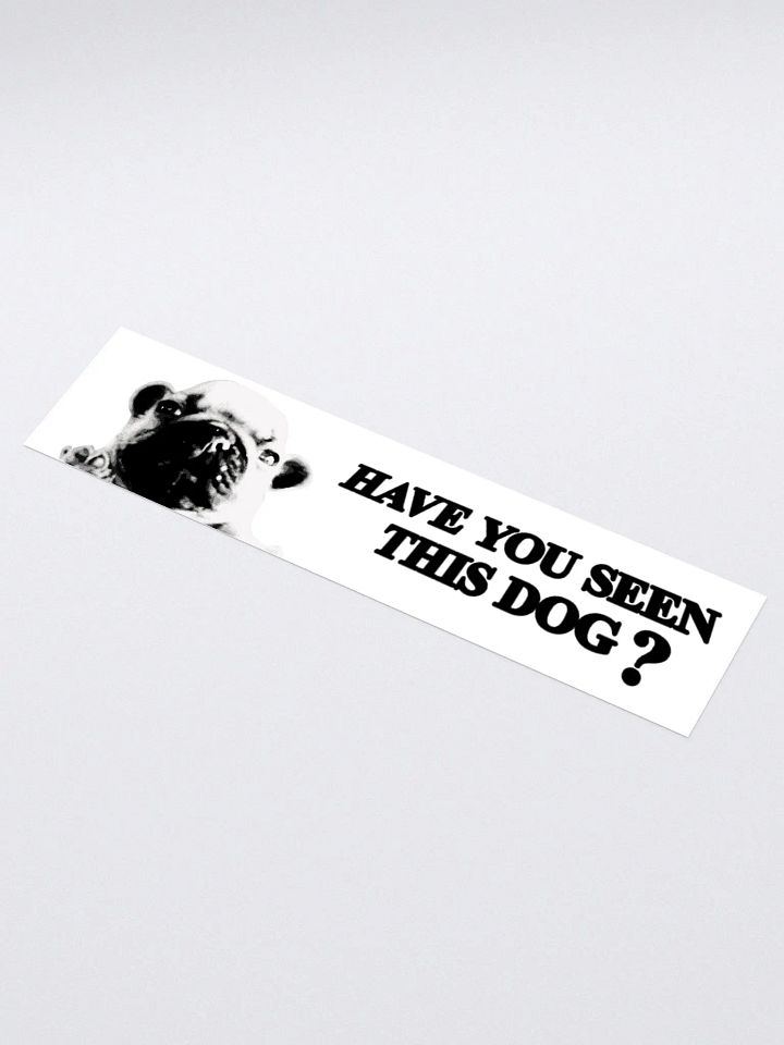 HAVE YOU SEEN THIS DOG BUMPER STICKER product image (1)