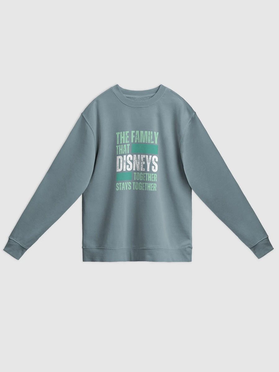 Disney World Family Midweight Pigment Dyed Sweatshirt product image (1)
