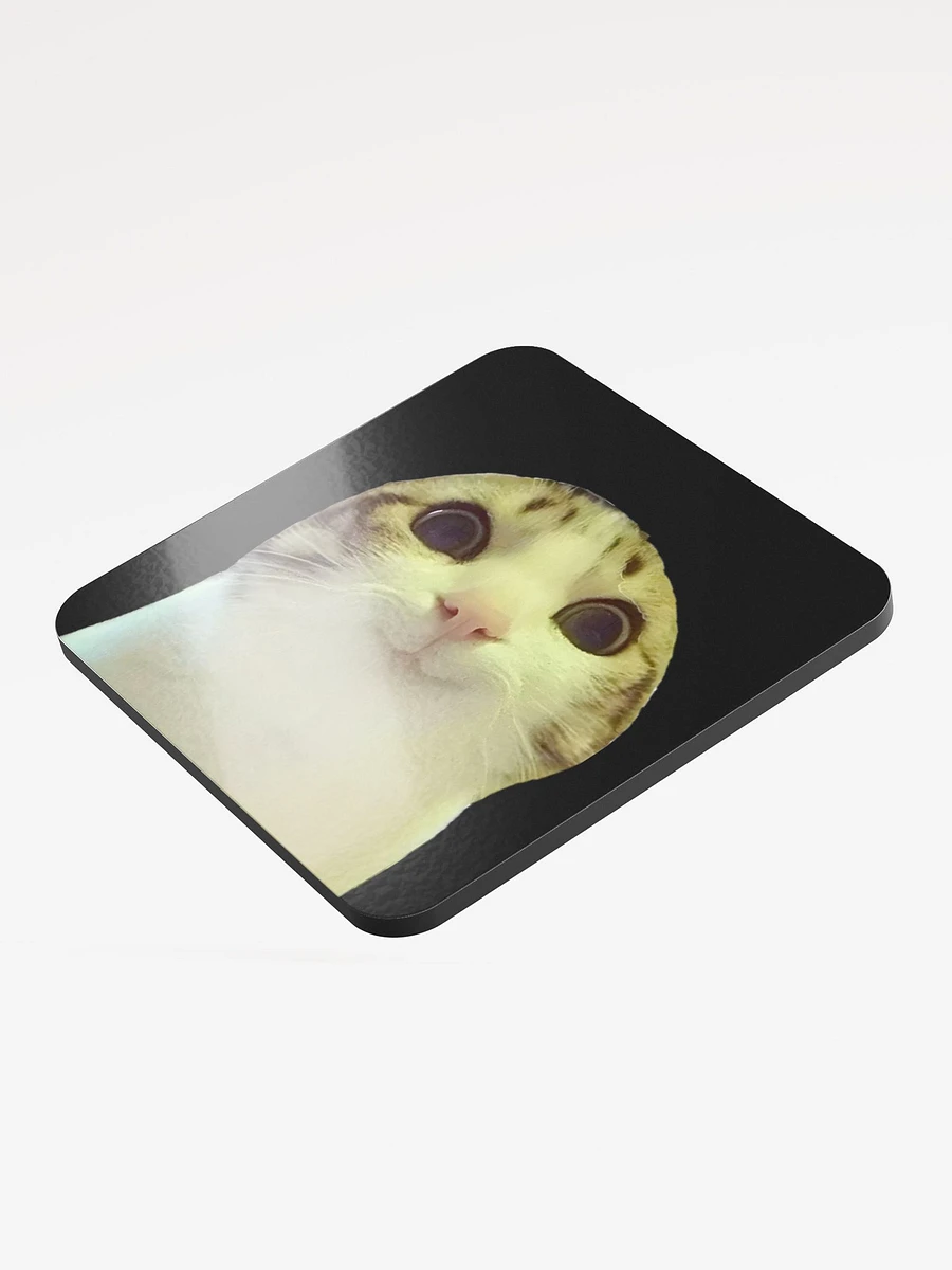 Glossed Cork Coaster: Meme Cats 2 product image (3)