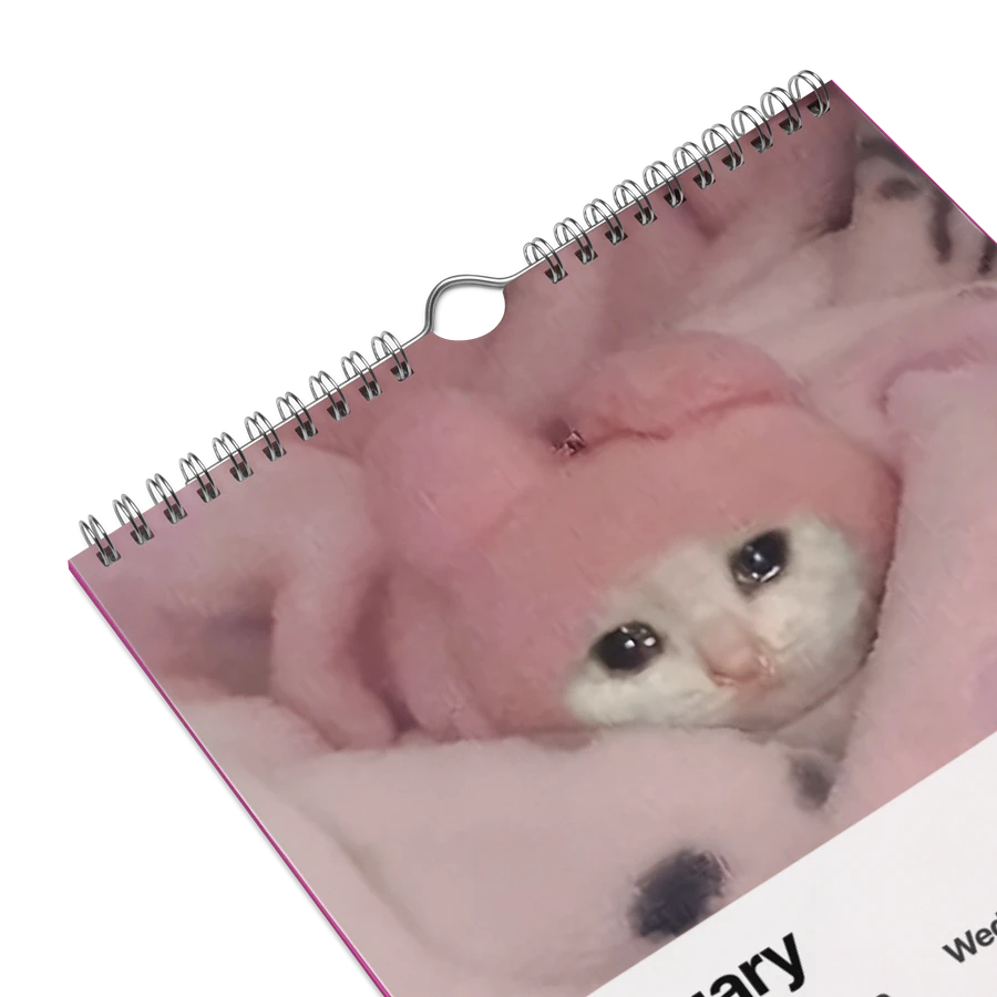 Wall Calendar (2024): Meme Cats product image (9)