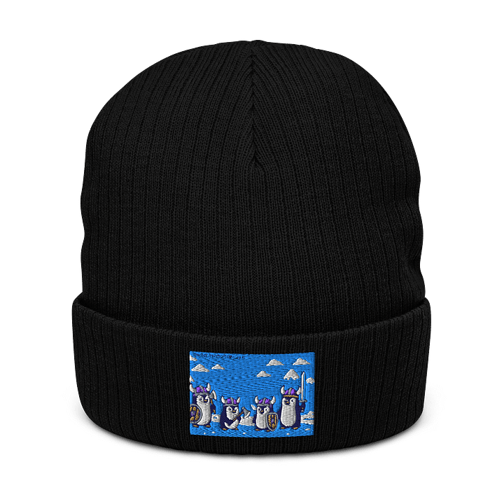 Viking Beanie product image (1)