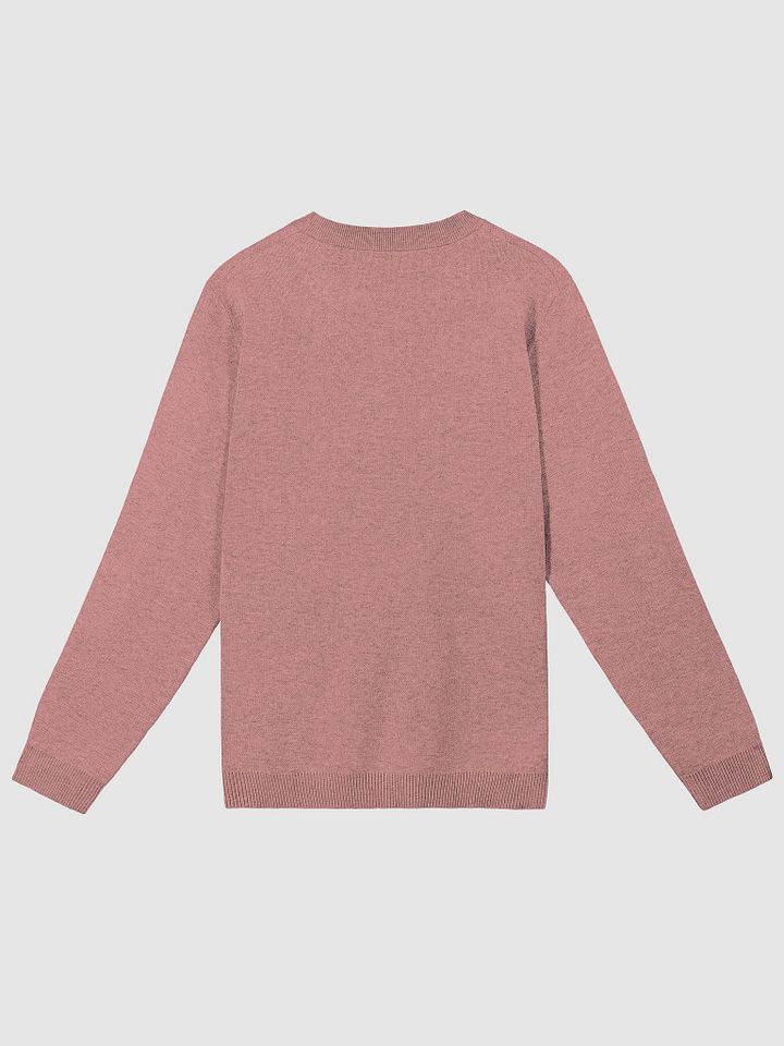 BUSY-BRAINED (duotone pink) knitwear classic crewneck product image (7)