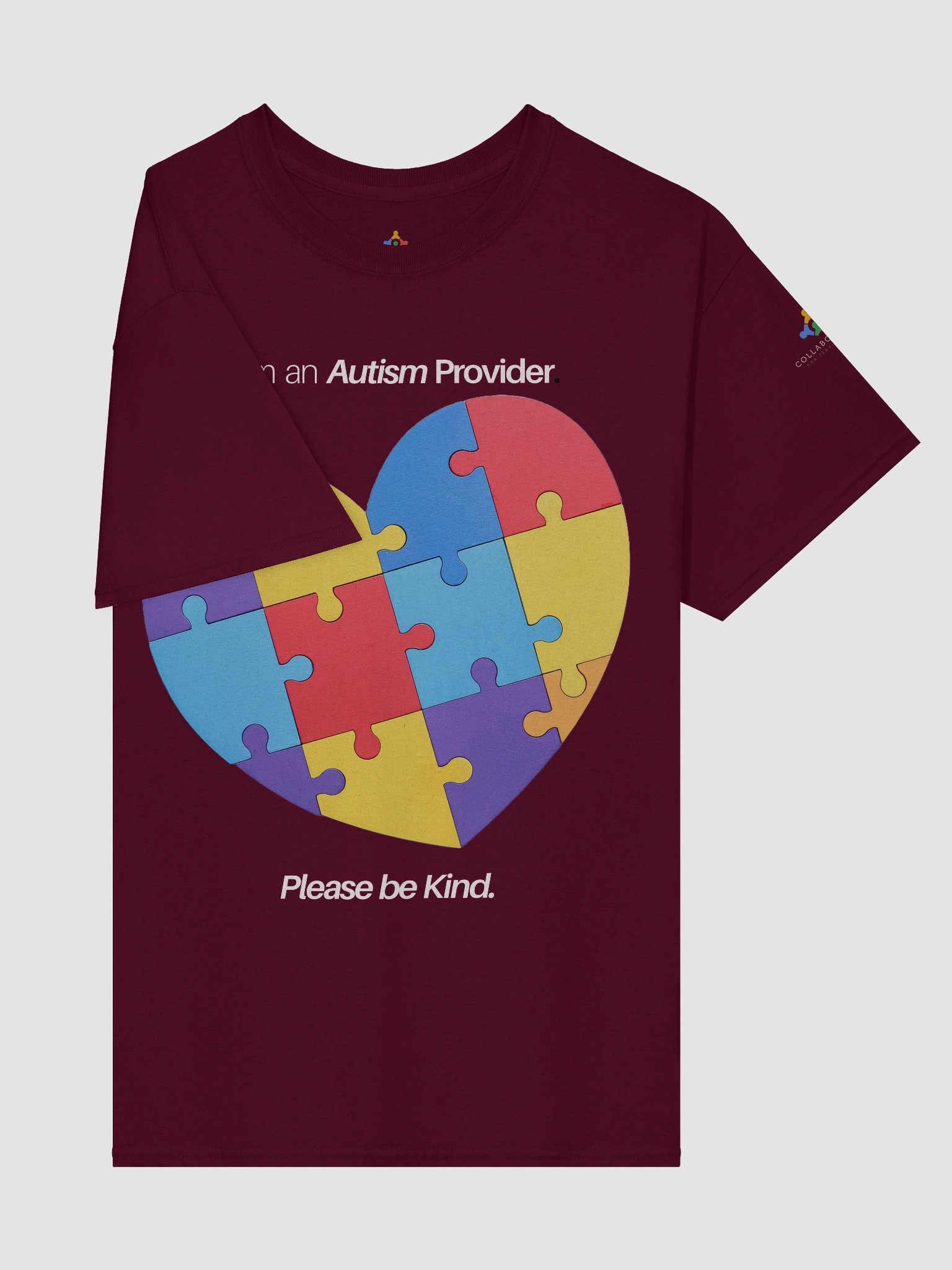 I am an Autism Provider Please Be Kind T-Shirt product image (4)