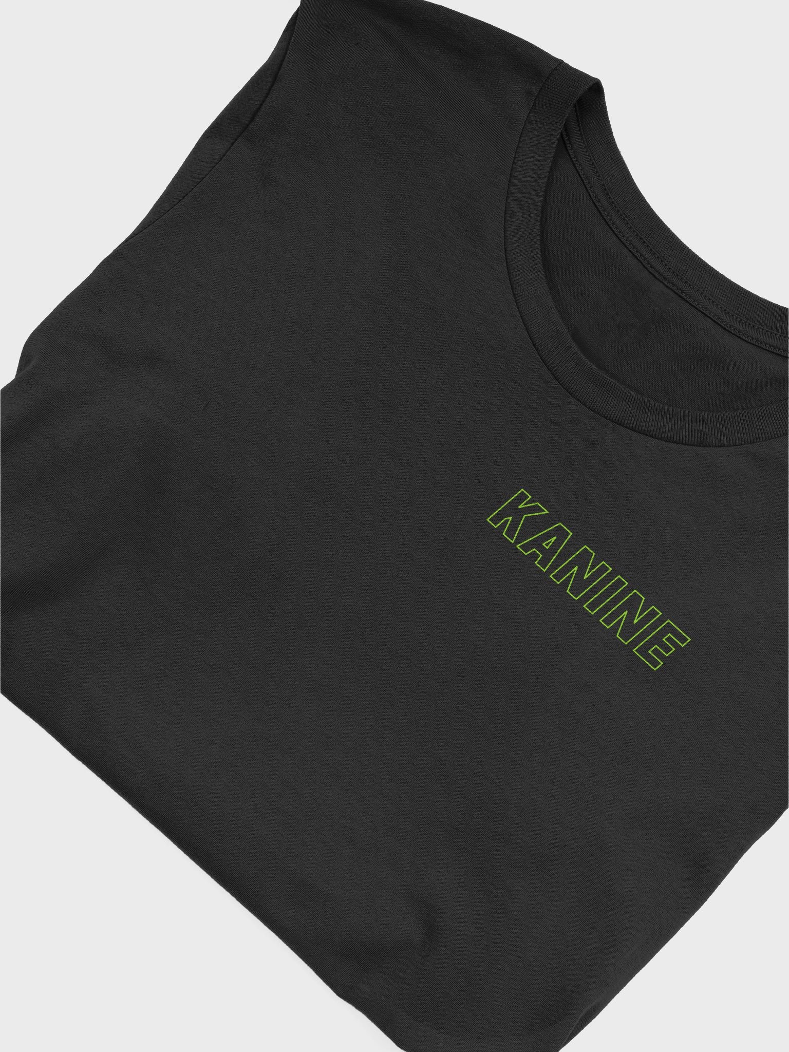 The Girls The Gays and The Theys Tee product image (6)