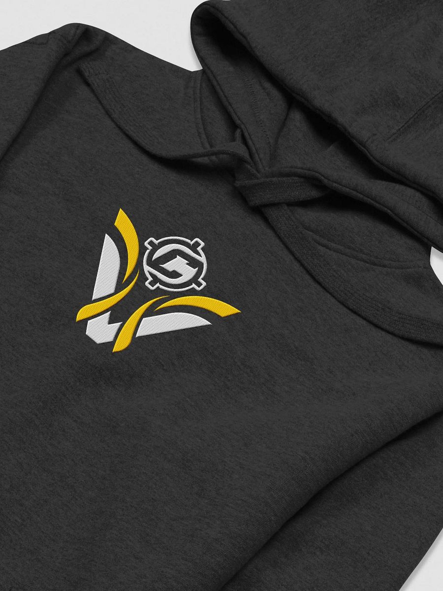 Visionary x CoopStreams Embroidered Hoodie product image (3)