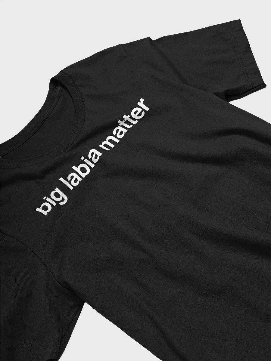 BIG LABIA MATTER T-SHIRT product image (7)