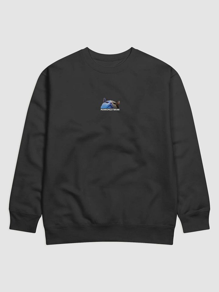 SHIRT - MONNOMESTBRIAN - UNISEX product image (1)