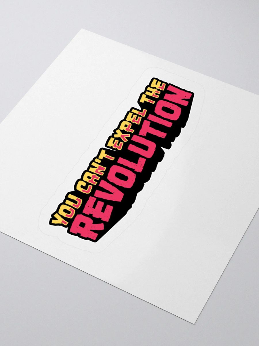 You Can't Expel The Revolution Sticker product image (7)