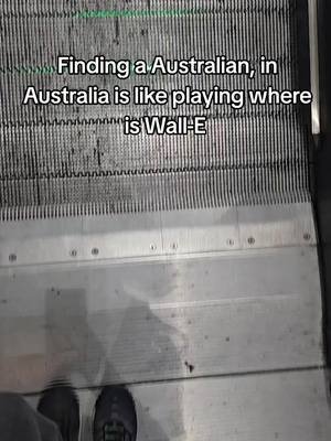Where my Aussies at? born and raised. #Australia #Fyp #walle 