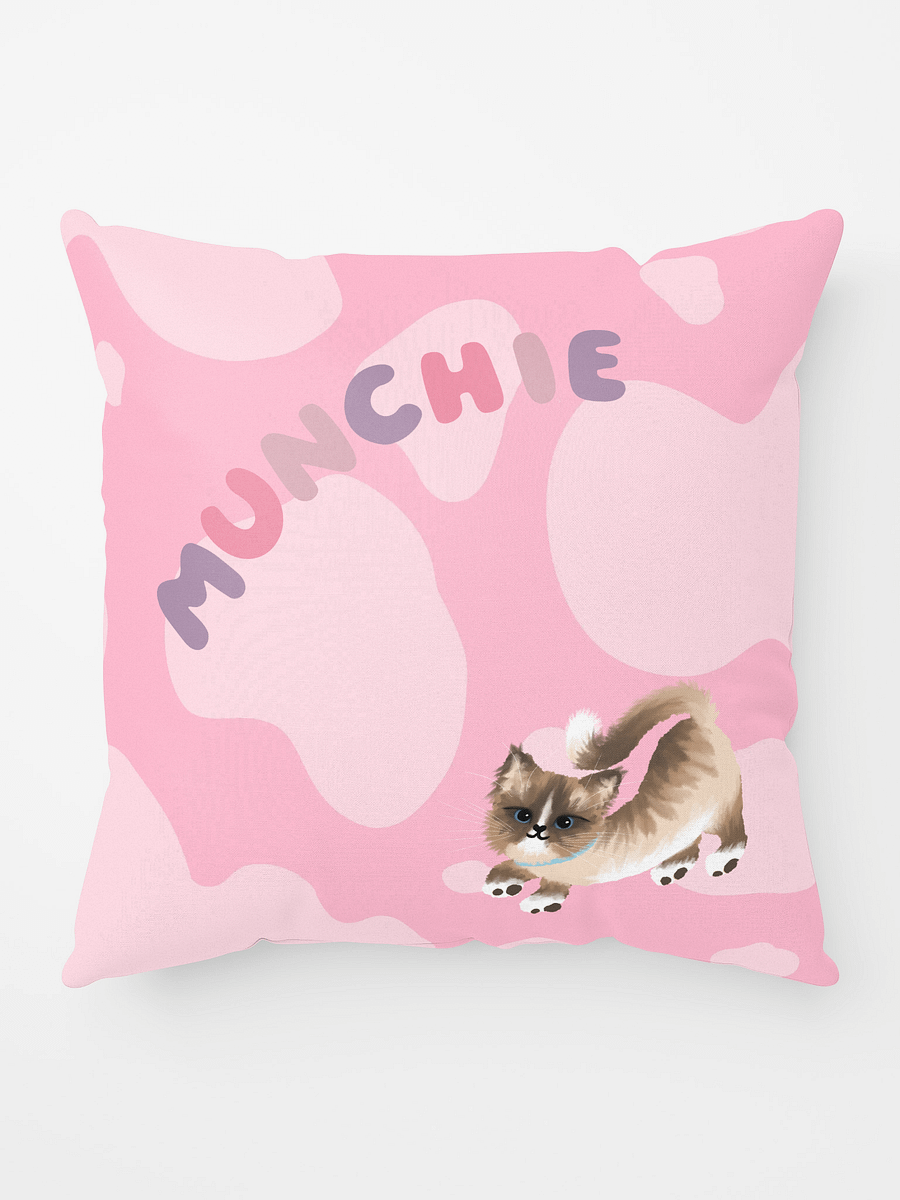 Munchie Pillow product image (10)