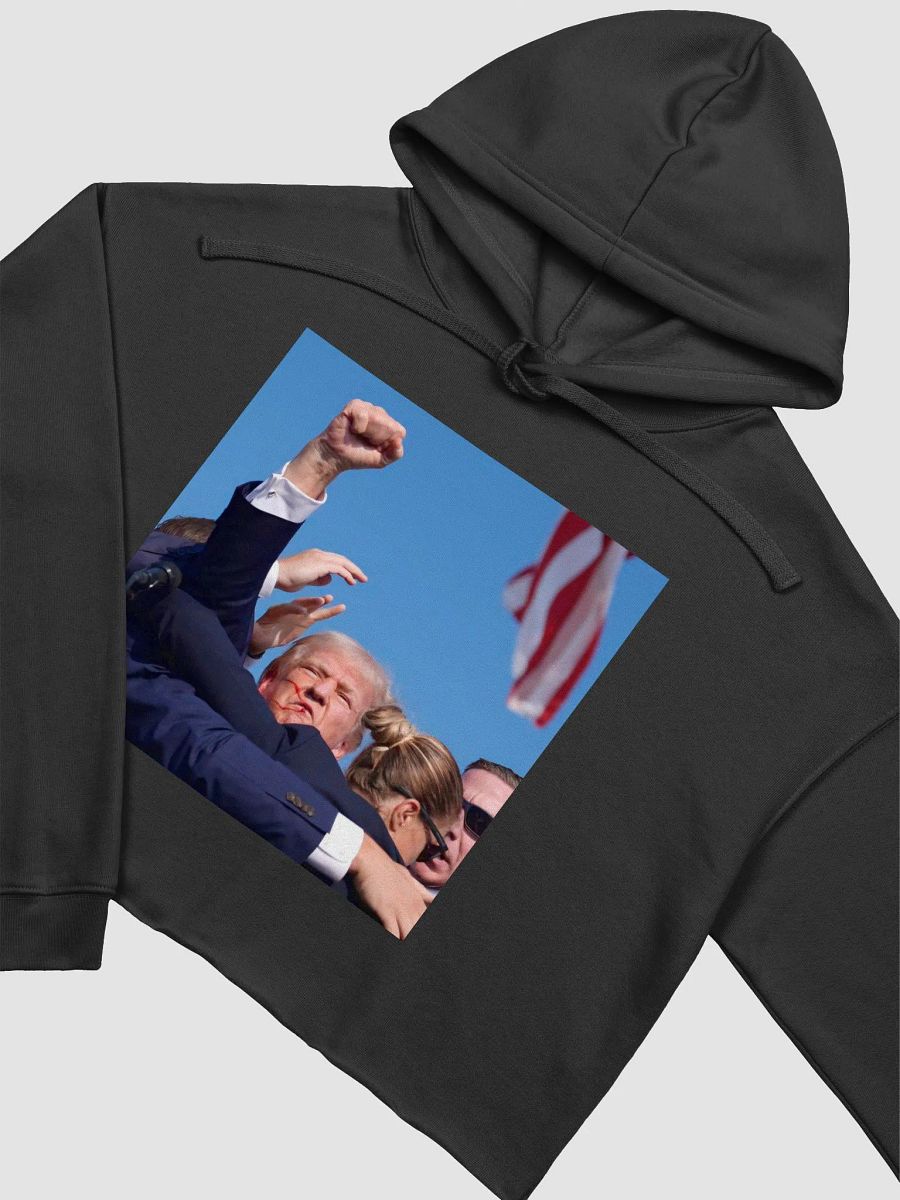 07132024 Crop Hoodie product image (21)
