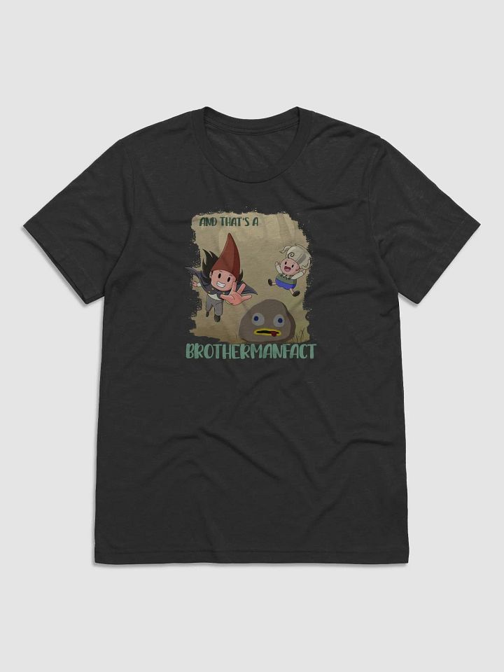 A BrotherFACT! (Triblend T-Shirt) product image (19)