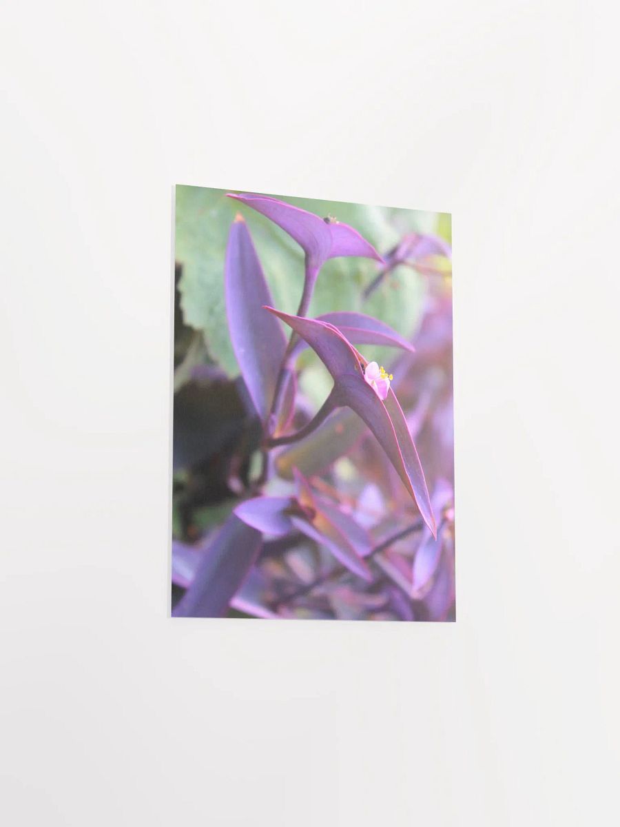 A Study in Flowers 9 product image (3)