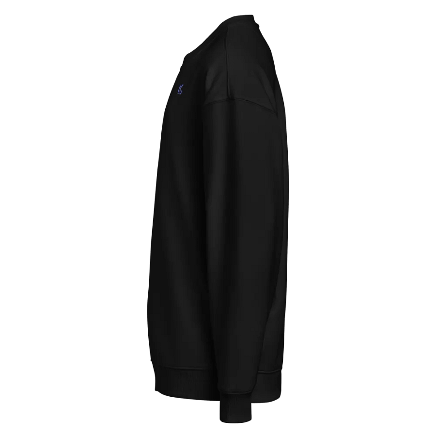 CS Oversized Sweatshirt product image (4)