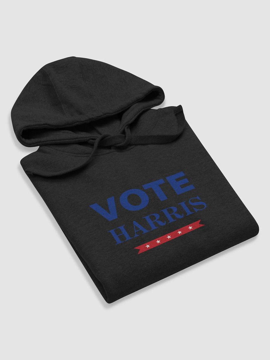 Vote Harris Comfort Hoodie product image (55)