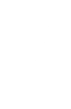 I Ignite music